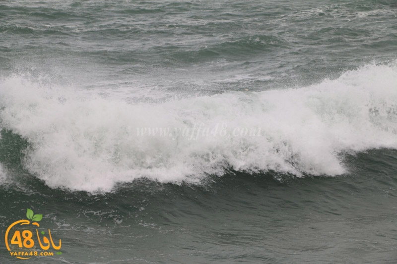 yaffa weahtera (7).jpg